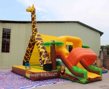 bouncy castle inflatable combo