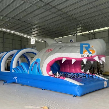 inflatable water slide shark