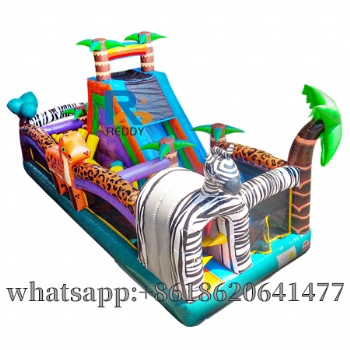 inflatable obstacle double slide