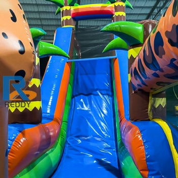 inflatable obstacle double slide