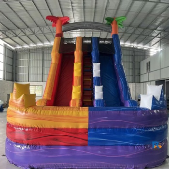 Double-Lane Inflatable Slide     inflatable swimming pool with slide