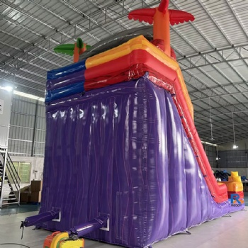 Double-Lane Inflatable Slide inflatable swimming pool with slide