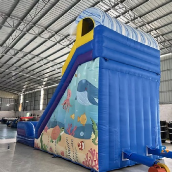 Ocean Inflatable Slide water slides for pool