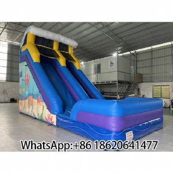 Dual - Lane Aqua Dash: The Cloud - Crowned Inflatable Ride