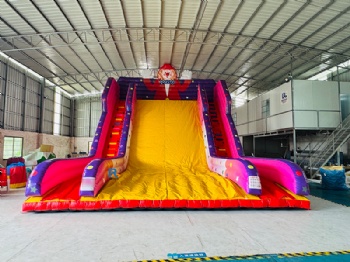 colwn big inflatable slide oman